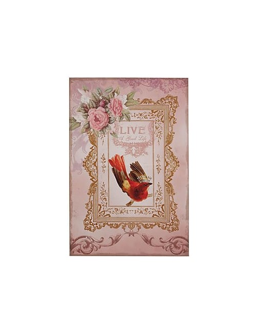Photo modèle rose maison 